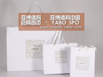 项目名称十一