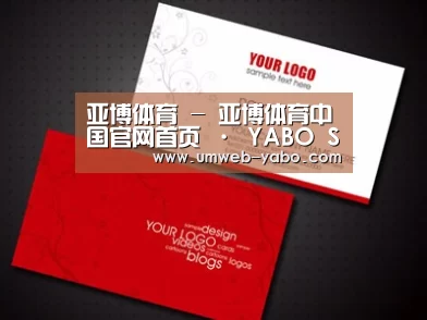 项目名称一