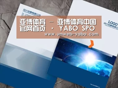 项目名称十