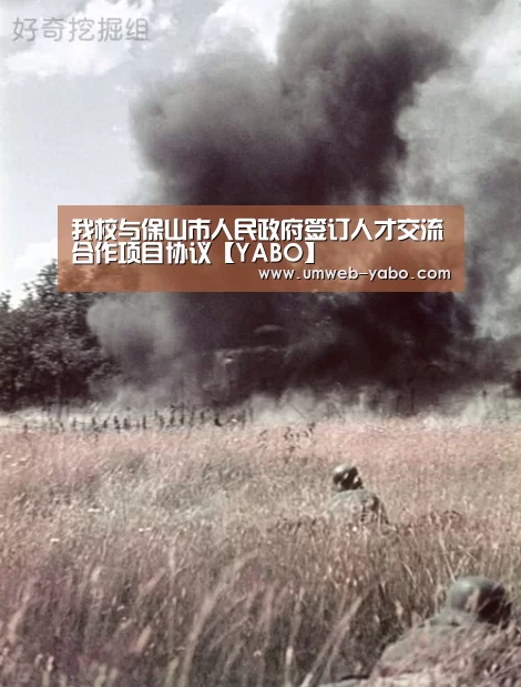 我校与保山市人民政府签订人才交流合作项目协议【YABO】(图1) 亚博