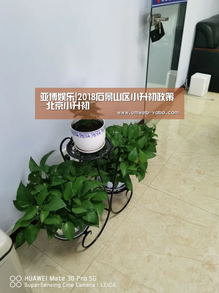 亚博娱乐|2018石景山区小升初政策-北京小升初(图1) 亚博娱乐
