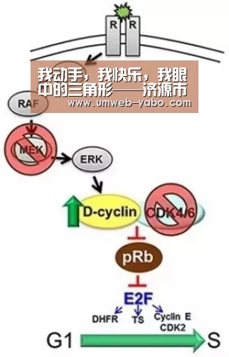 我动手,我快乐,我眼中的三角形——济源市文昌路小学开展数学实践活动:亚博娱乐(图2) 亚博娱乐
