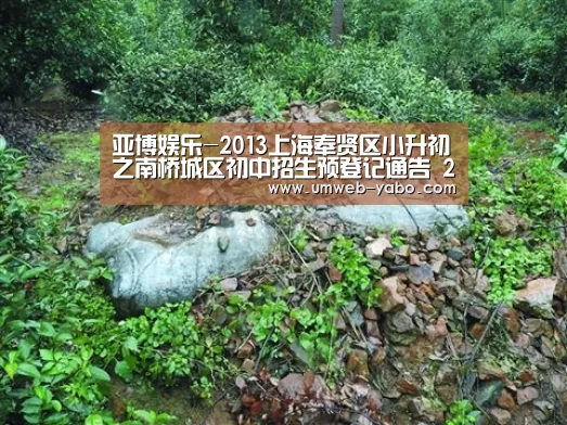 亚博娱乐-2013上海奉贤区小升初之南桥城区初中招生预登记通告 2014上海小升初参考(图1) 亚博体育
