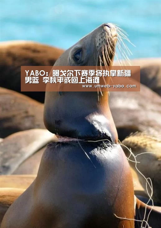 YABO:曝戈尔下赛季将执掌新疆男篮 李秋平或回上海滩(图1) 亚博娱乐