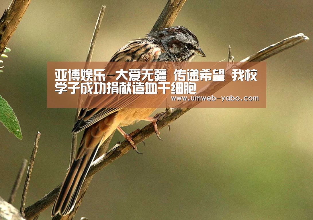亚博娱乐-大爱无疆 传递希望 我校学子成功捐献造血干细胞(图2) 亚博
