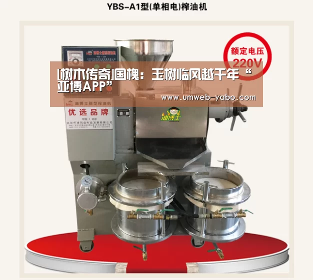 亚博娱乐