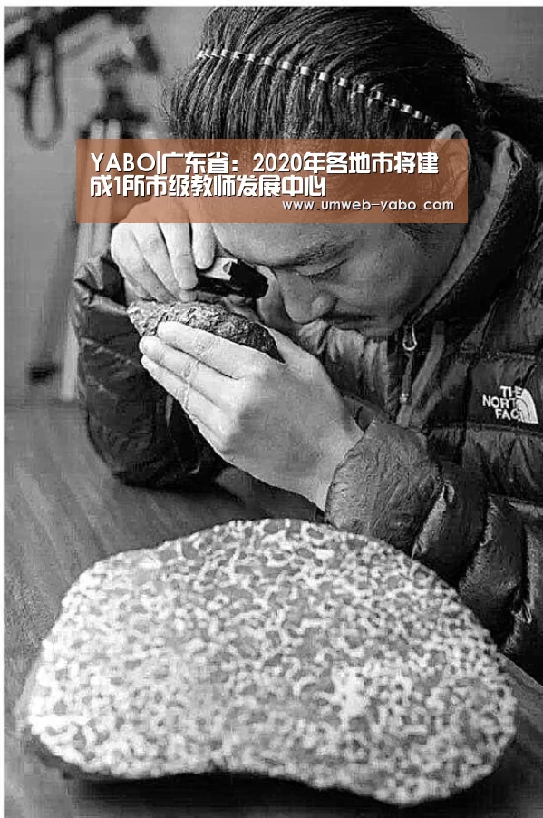 YABO|广东省：2020年各地市将建成1所市级教师发展中心(图3)